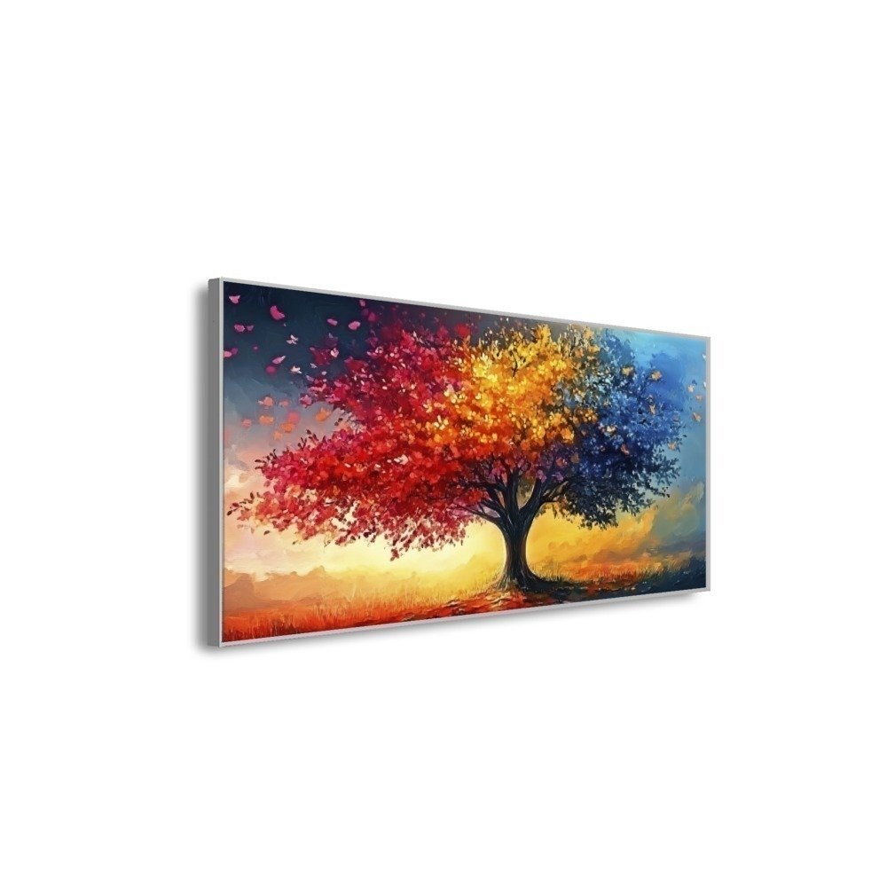 Vista 5