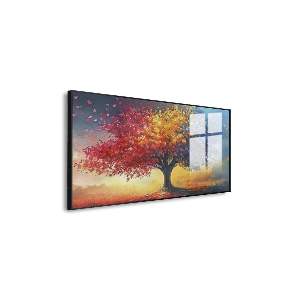 Vista 6