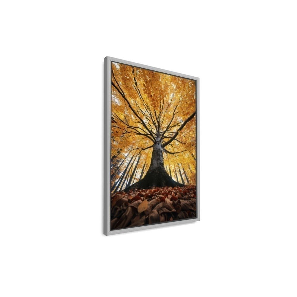 Vista 4