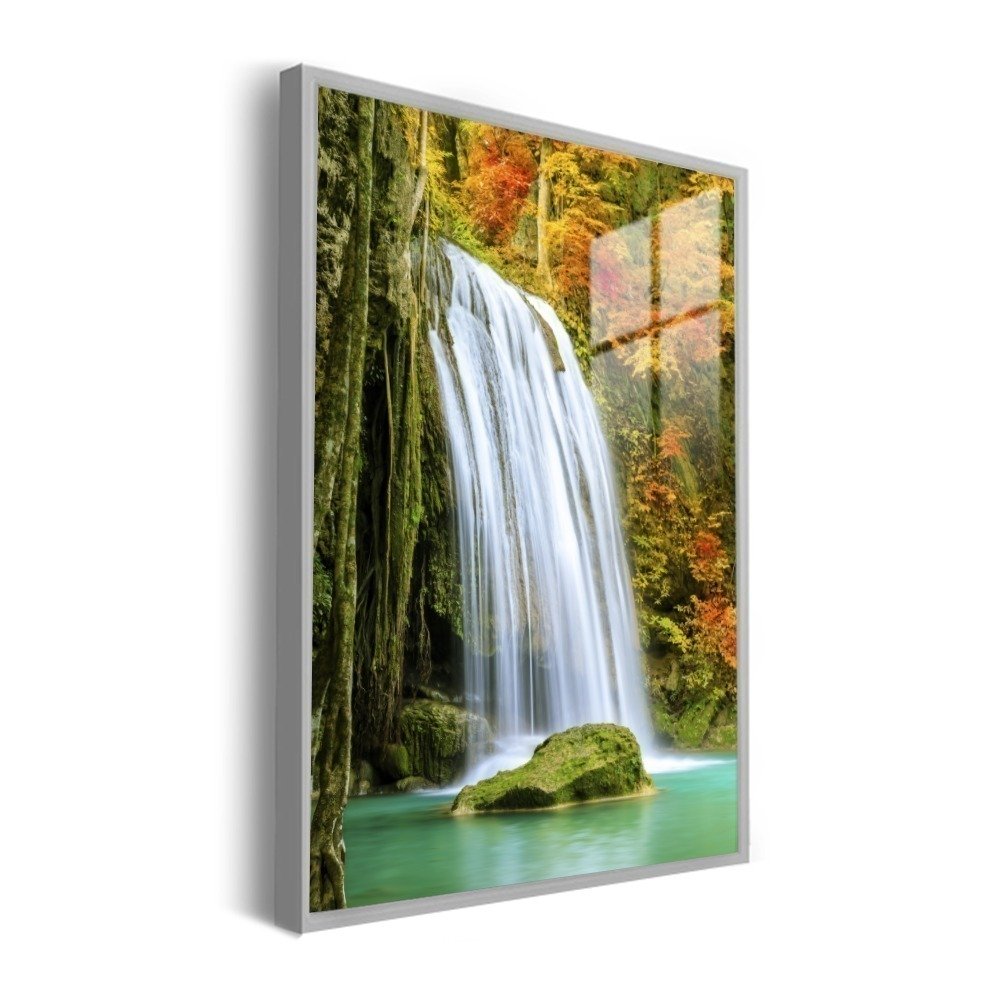 Vista 5