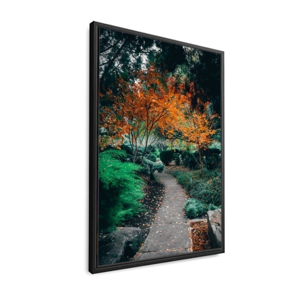 Vista 2
