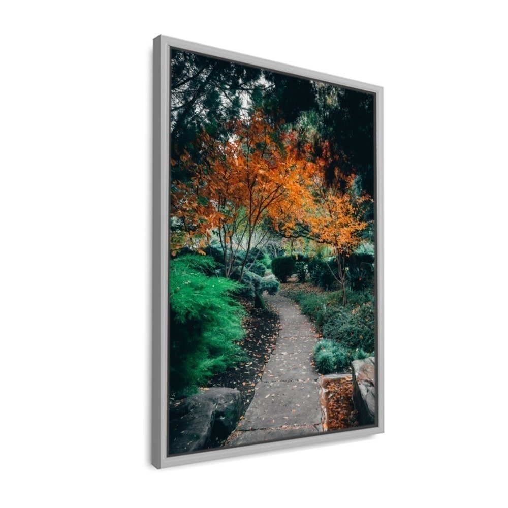 Vista 3