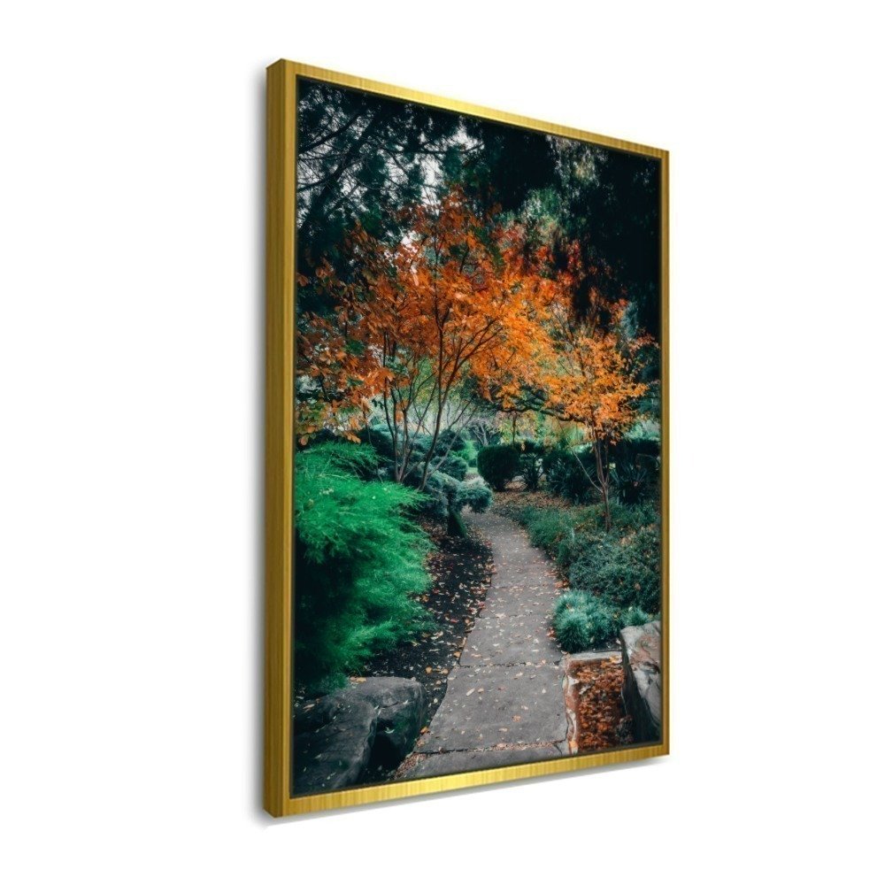 Vista 4