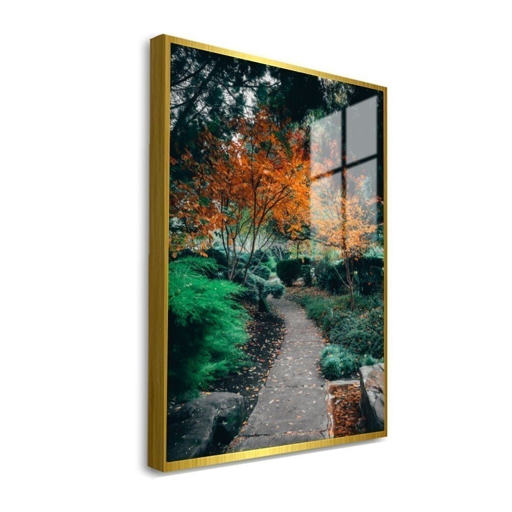 Vista 6