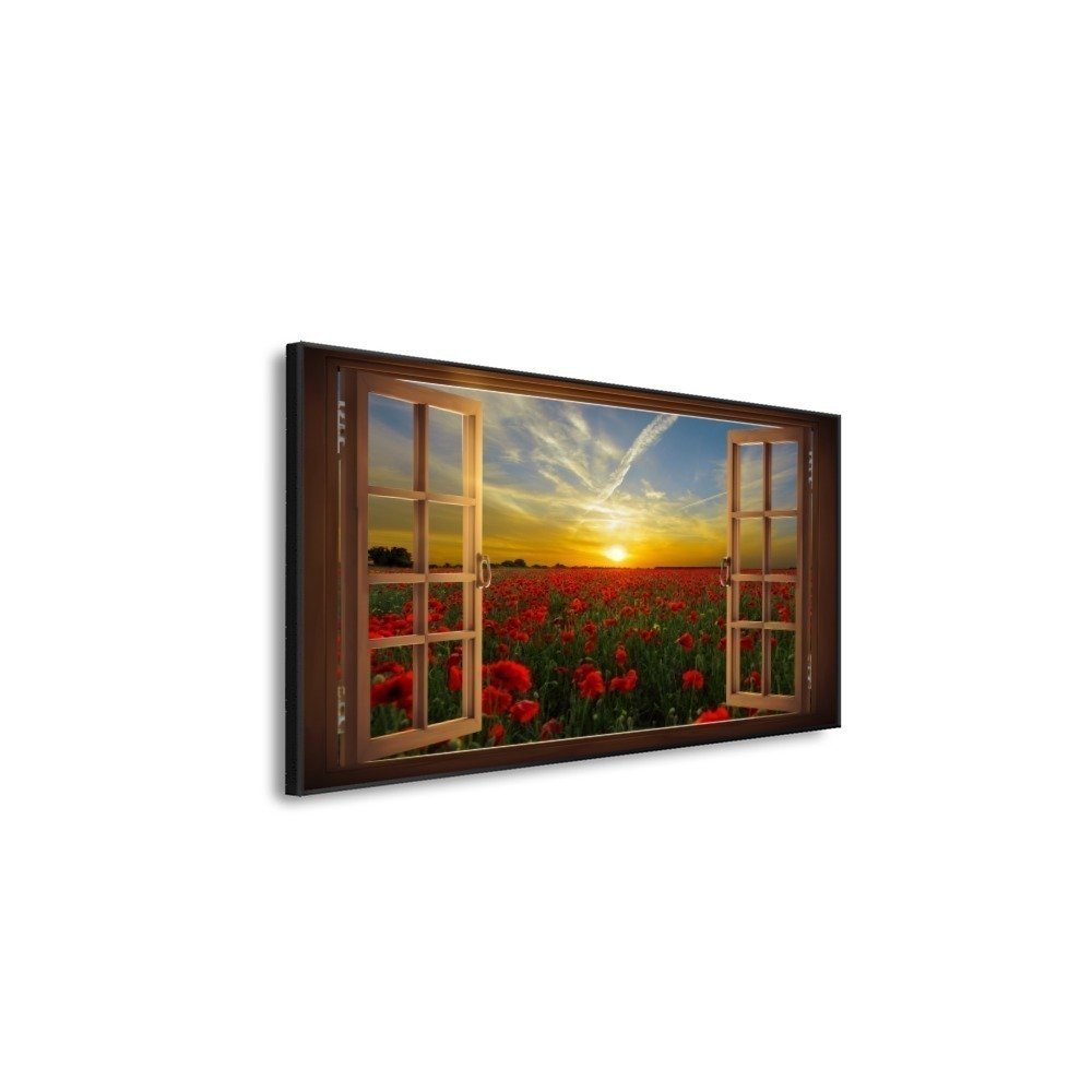 Vista 5