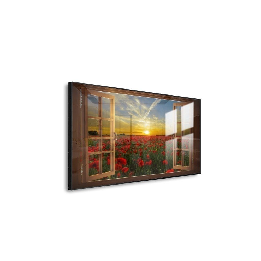 Vista 6
