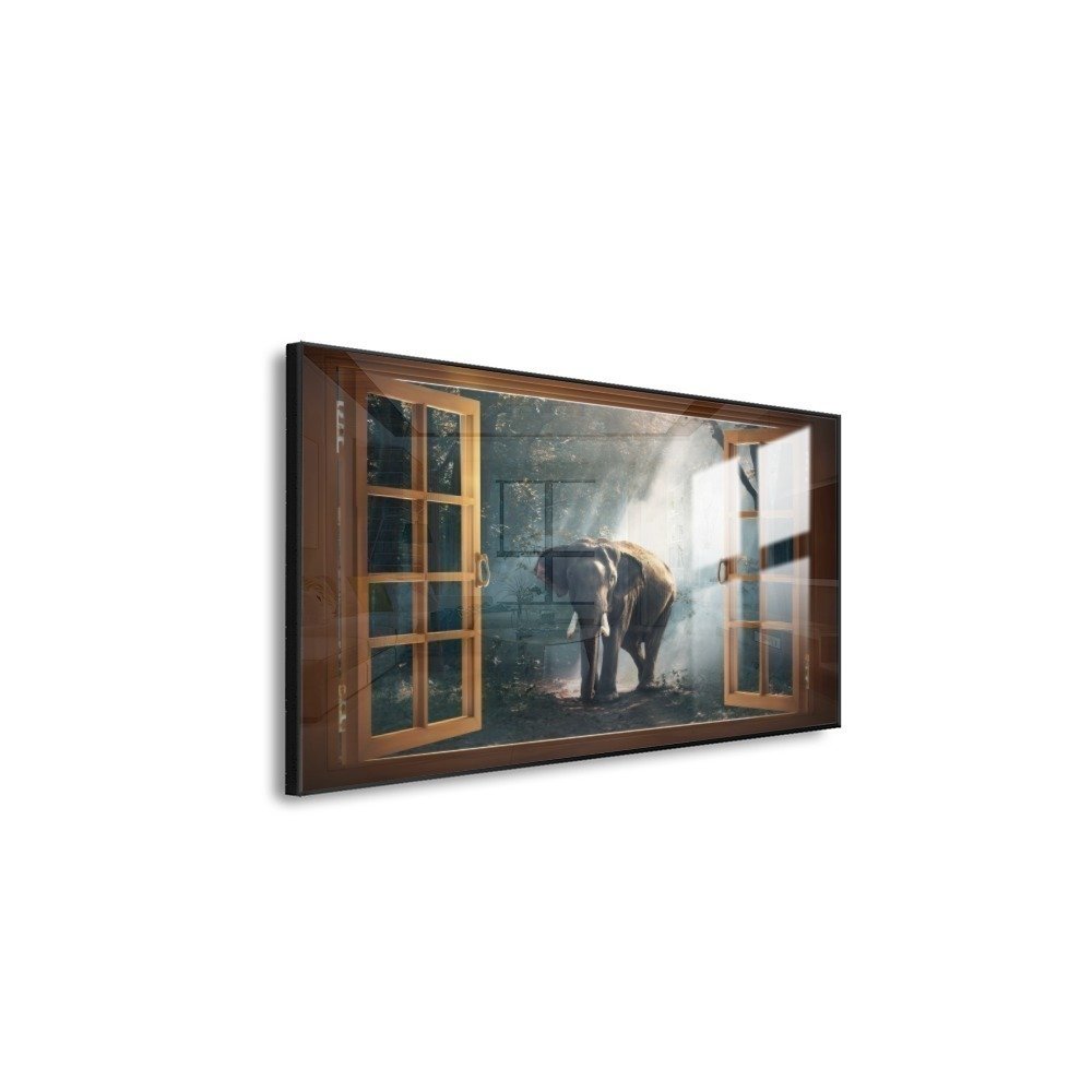 Vista 5