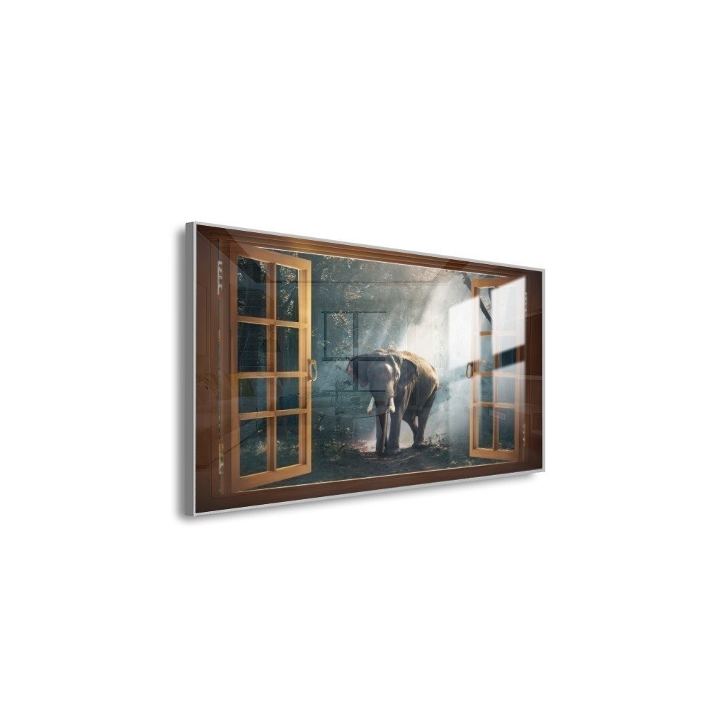 Vista 6