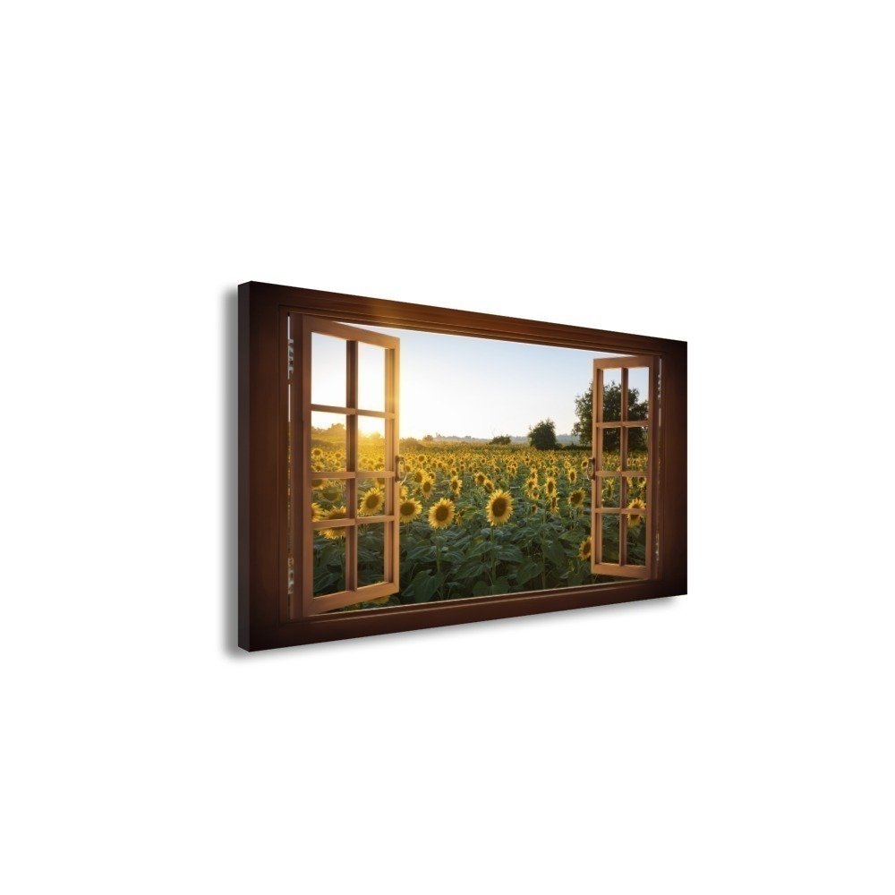 Vista 2