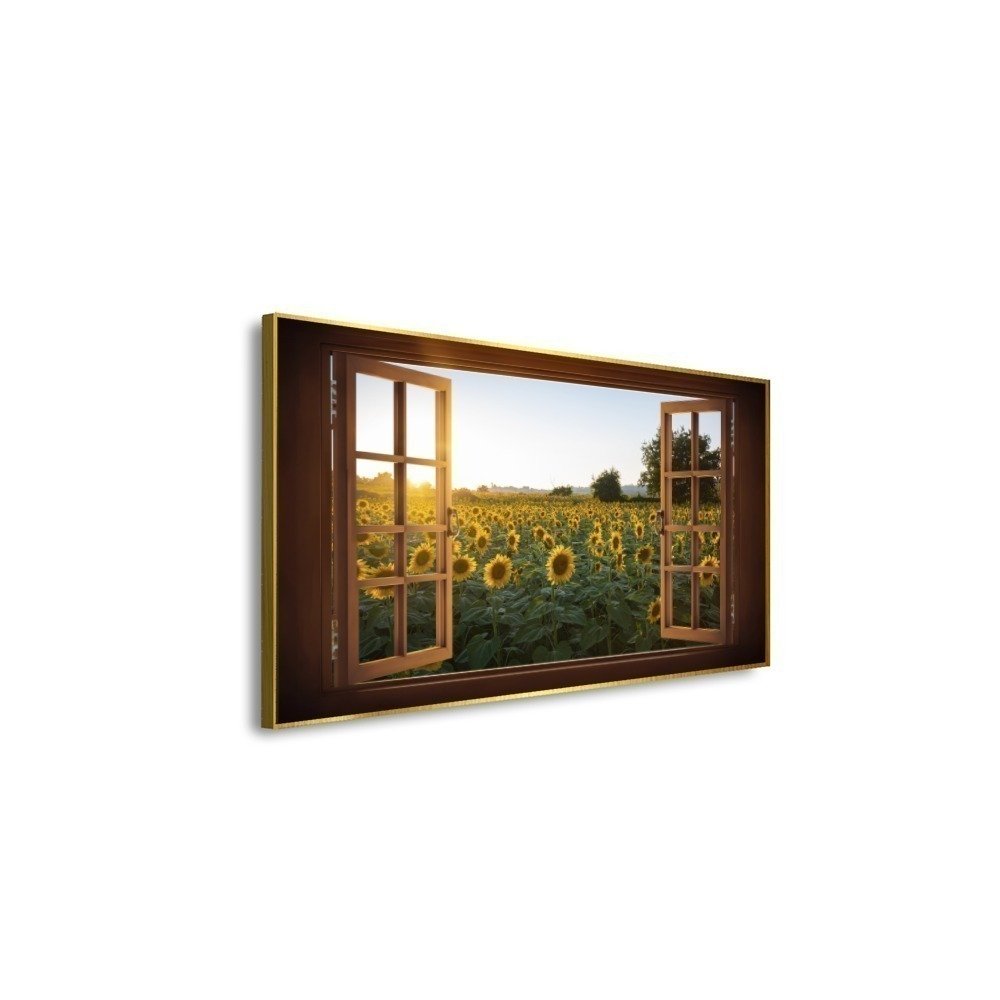 Vista 4