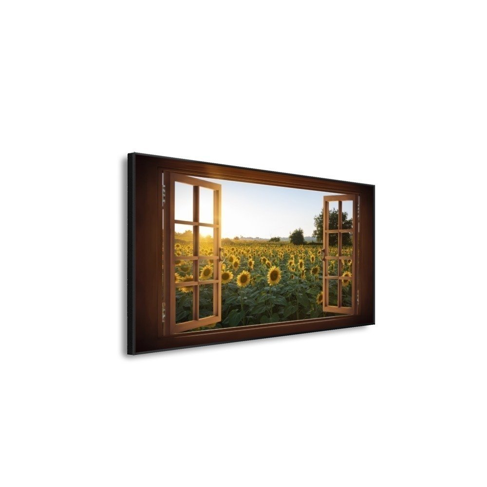 Vista 5