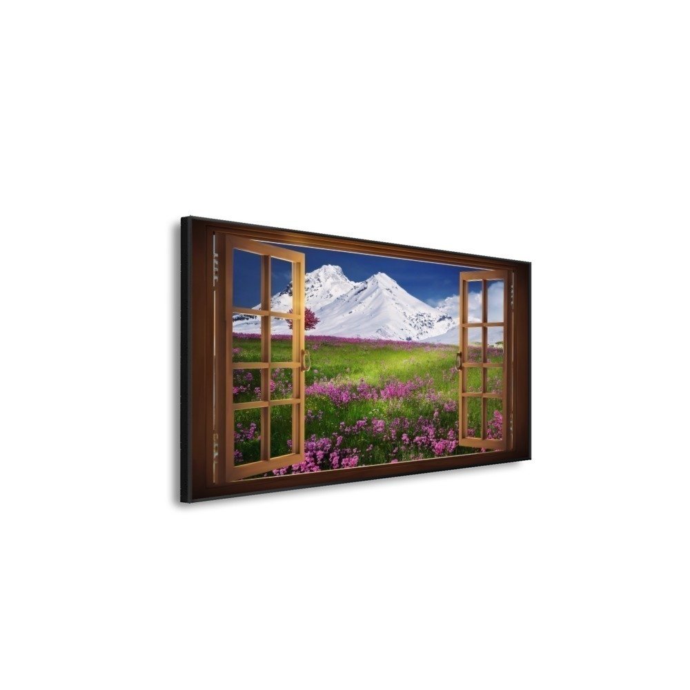 Vista 5