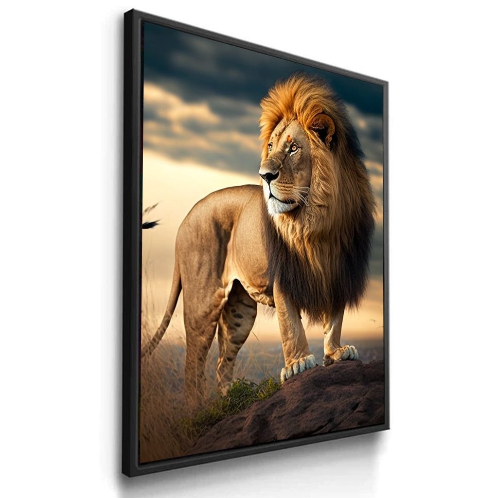 Vista 2