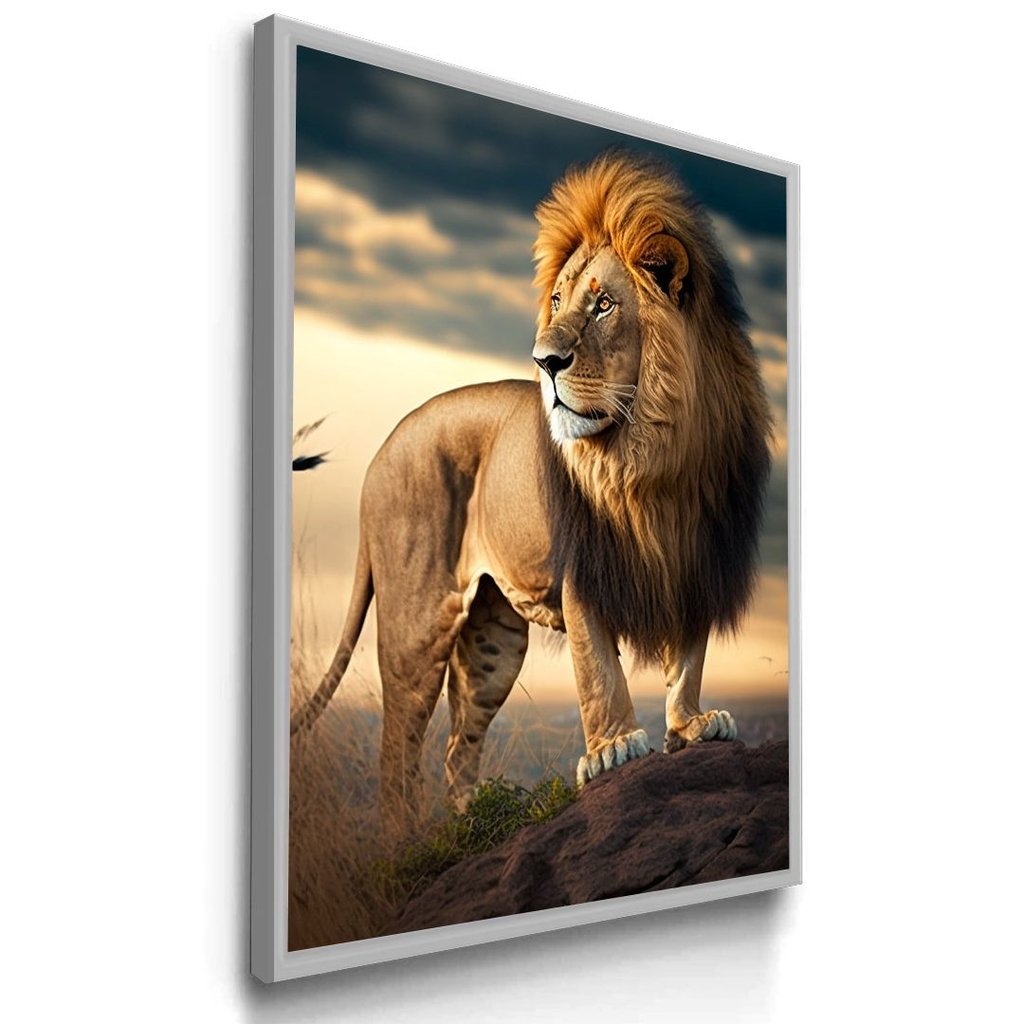 Vista 4