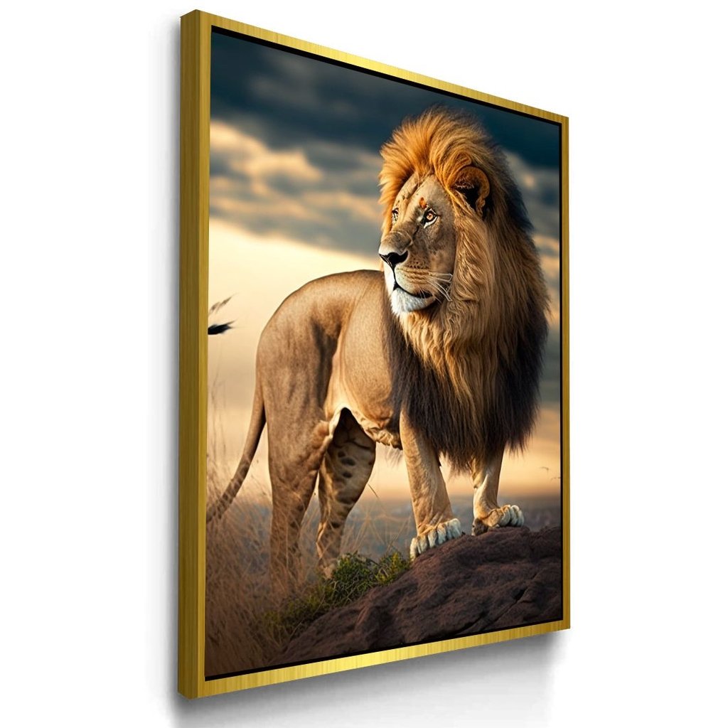 Vista 5