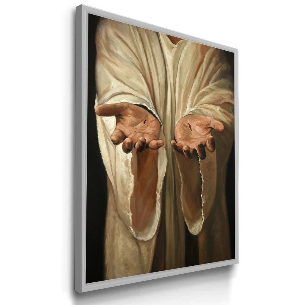 Vista 5